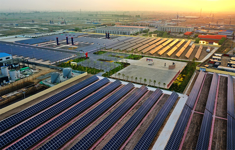 1718345283592727.jpg 5.jpg