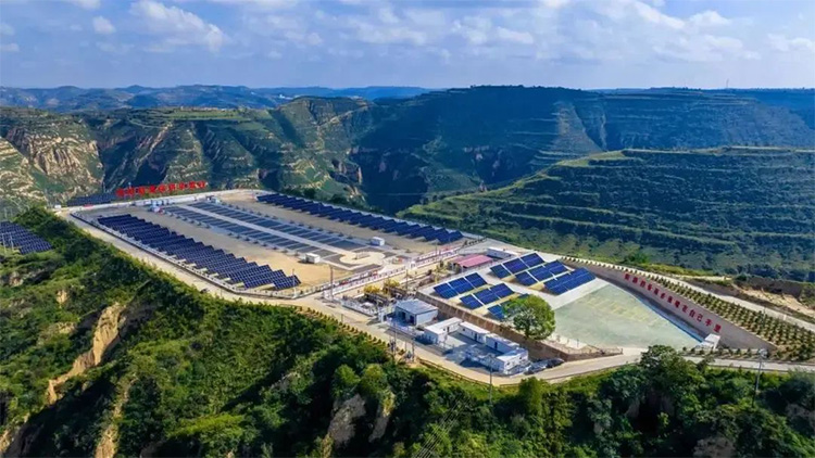 1736392015327620.jpg 10.jpg