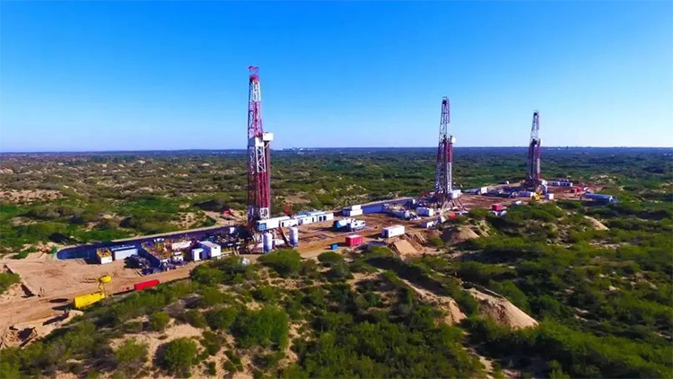 1736392028662501.jpg 11.jpg