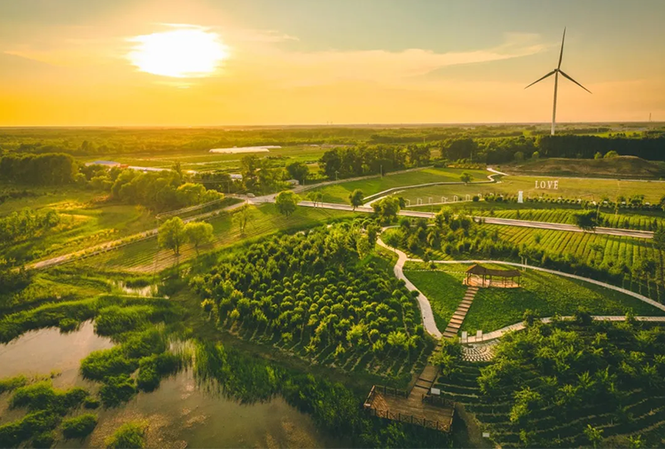 1769323511440901.png image.png