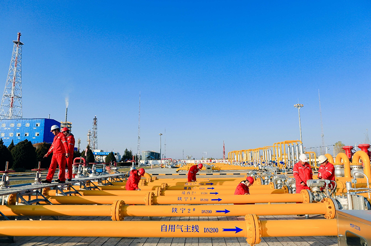 1769324063287001.png image.png